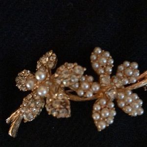 Beautiful Brooche